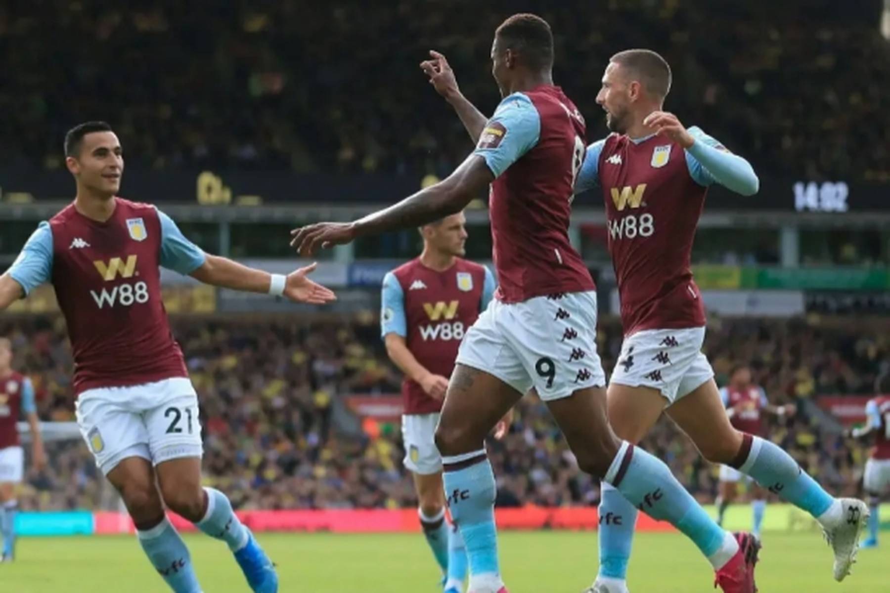 在热带雨林 在热带雨林