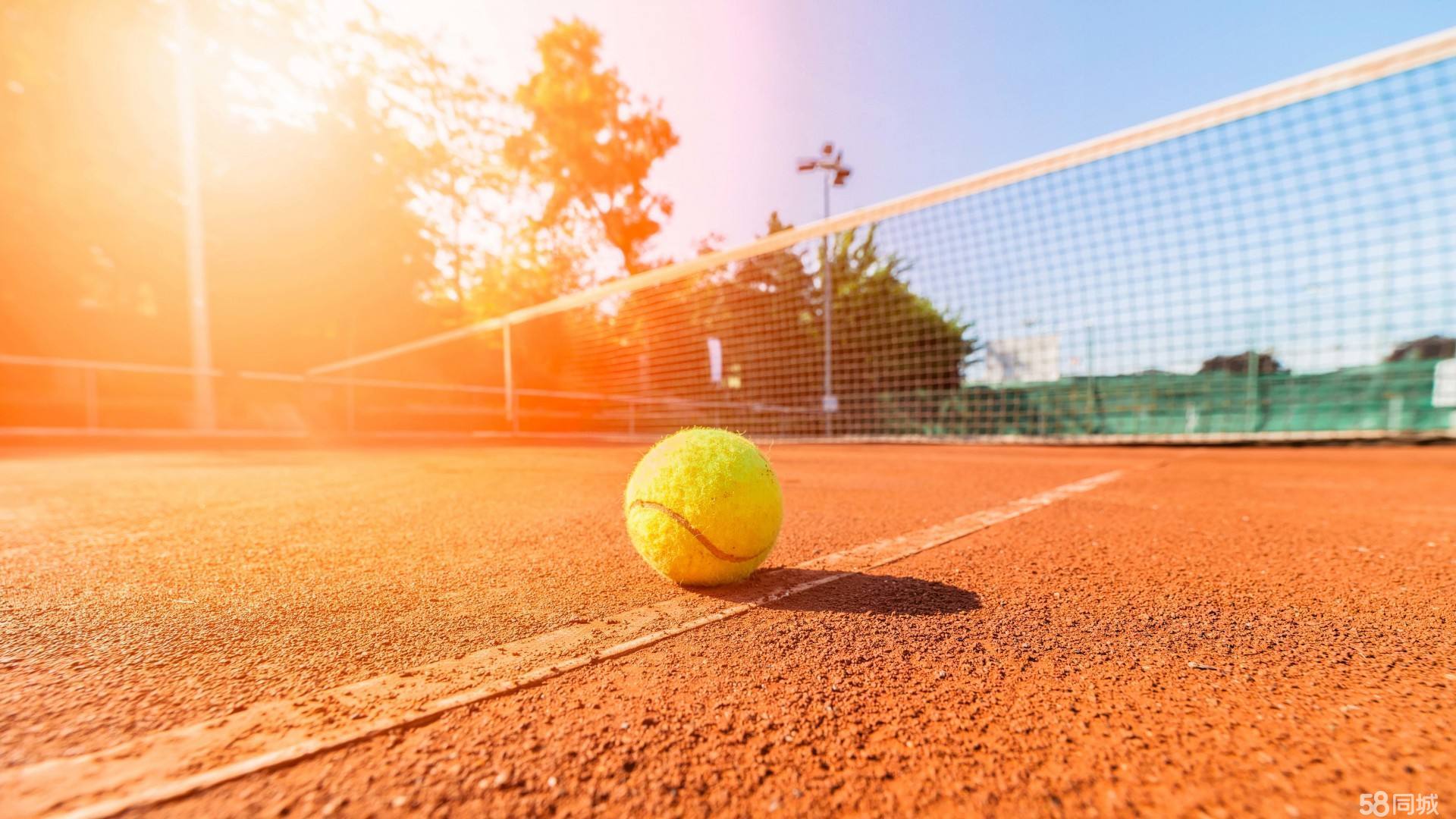 类似的主教 类似的主教