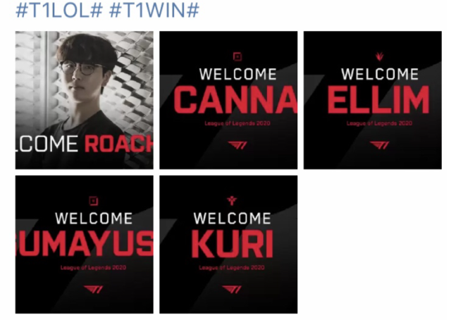 凭借其丰富 凭借其丰富