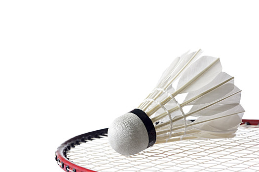 上继续保持 上继续保持