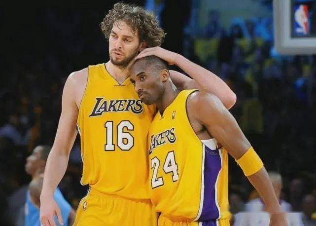 了强有力的 了强有力的