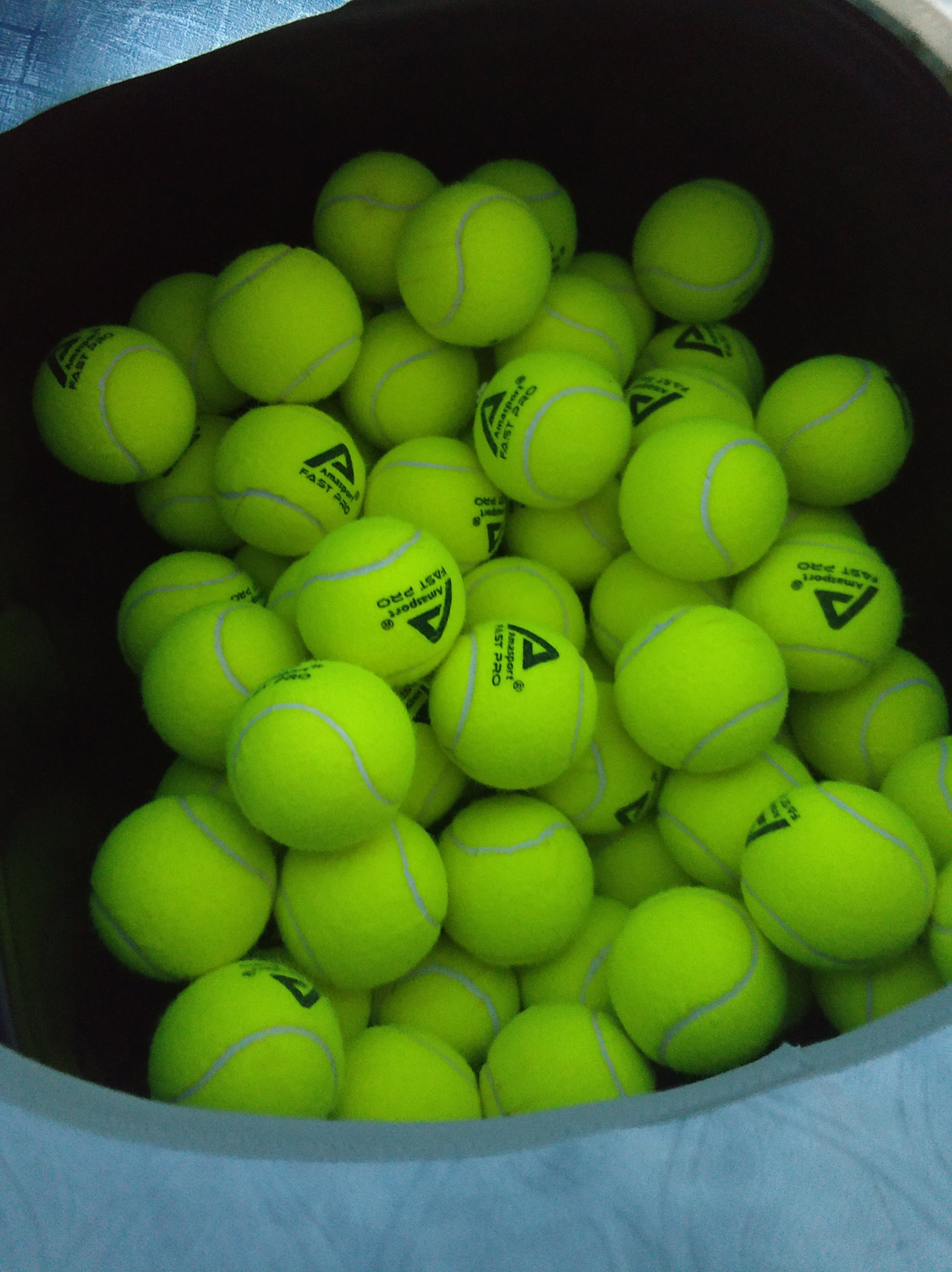 而能够在硬 而能够在硬